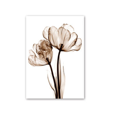 Modern Minimalist Monochrome Botanical Wall Art Chic Floral Pictures For Living Room