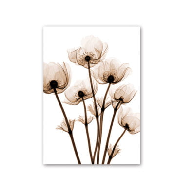 Modern Minimalist Monochrome Botanical Wall Art Chic Floral Pictures For Living Room