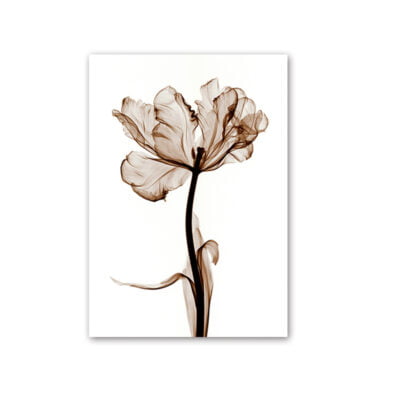 Modern Minimalist Monochrome Botanical Wall Art Chic Floral Pictures For Living Room