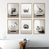 Tiger Elephant Bear Cute Animals In The Bath Black White Wall Art Pictures For Bathroom Decor